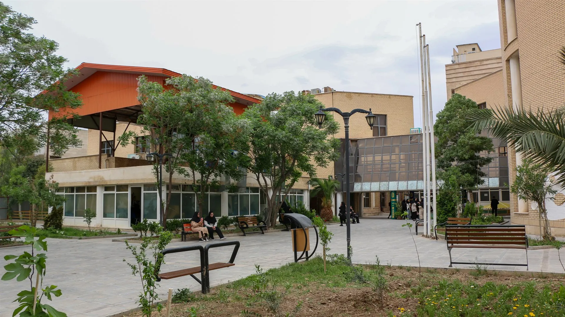 حیاط دانشگاه